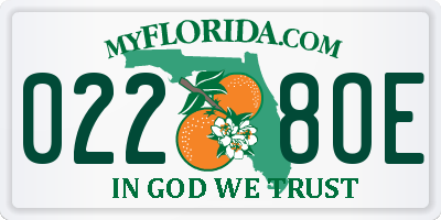 FL license plate 0228OE