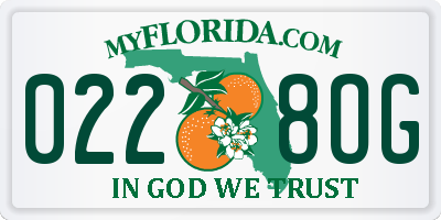 FL license plate 0228OG