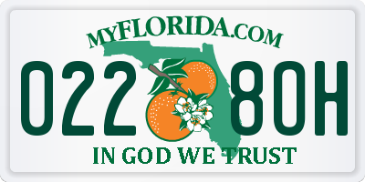 FL license plate 0228OH