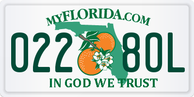 FL license plate 0228OL