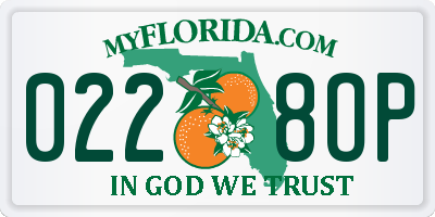 FL license plate 0228OP