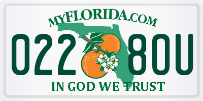 FL license plate 0228OU