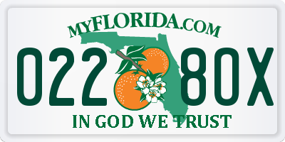 FL license plate 0228OX