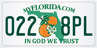 FL license plate 0228PL