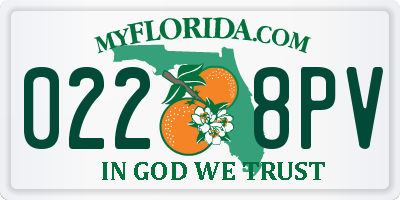 FL license plate 0228PV