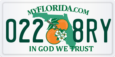 FL license plate 0228RY