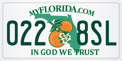 FL license plate 0228SL