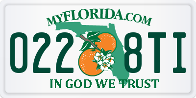 FL license plate 0228TI