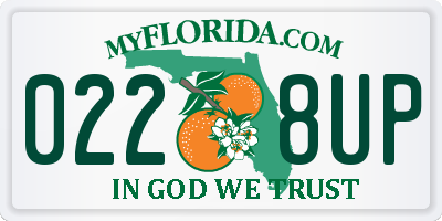 FL license plate 0228UP