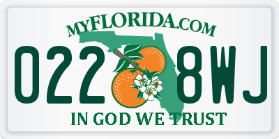 FL license plate 0228WJ