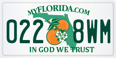 FL license plate 0228WM