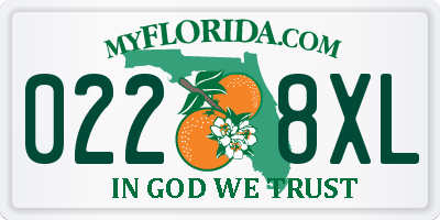 FL license plate 0228XL