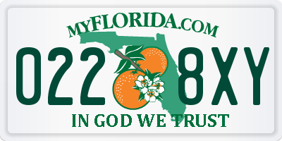 FL license plate 0228XY