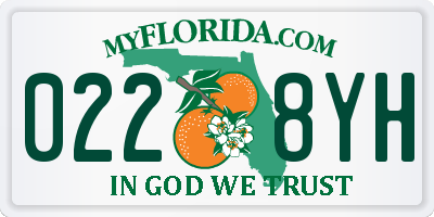 FL license plate 0228YH