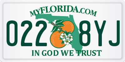 FL license plate 0228YJ
