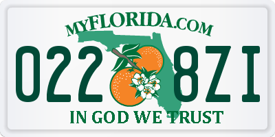 FL license plate 0228ZI