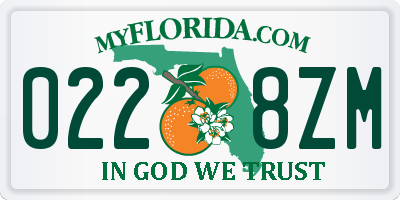 FL license plate 0228ZM