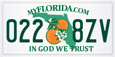 FL license plate 0228ZV
