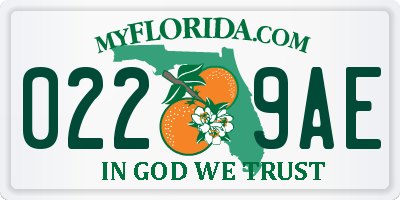 FL license plate 0229AE