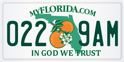 FL license plate 0229AM