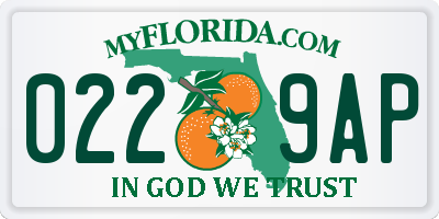 FL license plate 0229AP