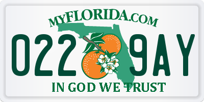 FL license plate 0229AY