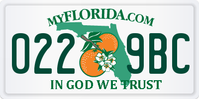 FL license plate 0229BC