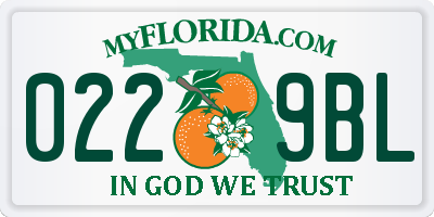 FL license plate 0229BL
