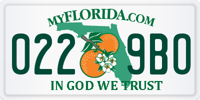 FL license plate 0229BO