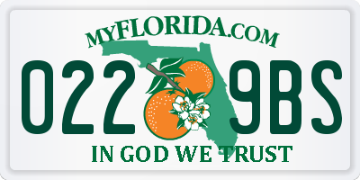 FL license plate 0229BS