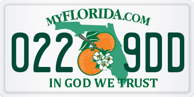 FL license plate 0229DD