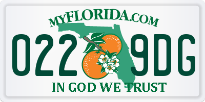 FL license plate 0229DG