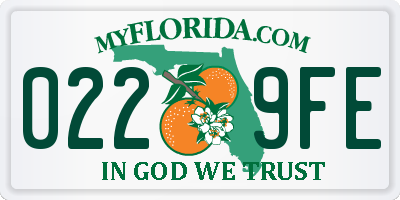 FL license plate 0229FE