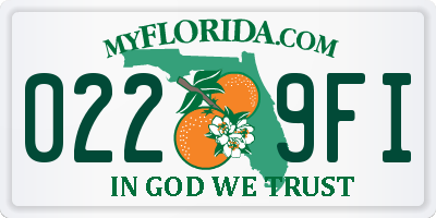 FL license plate 0229FI