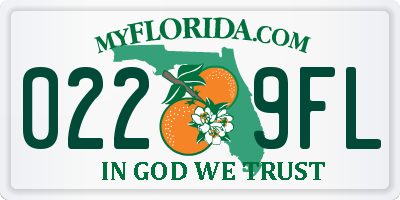 FL license plate 0229FL