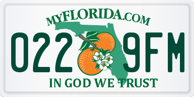 FL license plate 0229FM