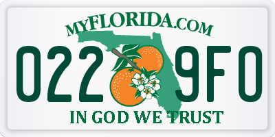 FL license plate 0229FO