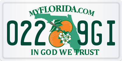 FL license plate 0229GI