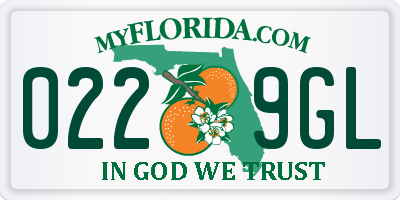 FL license plate 0229GL