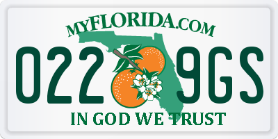 FL license plate 0229GS