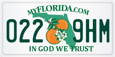 FL license plate 0229HM