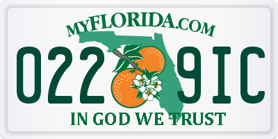 FL license plate 0229IC
