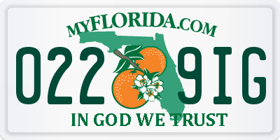FL license plate 0229IG