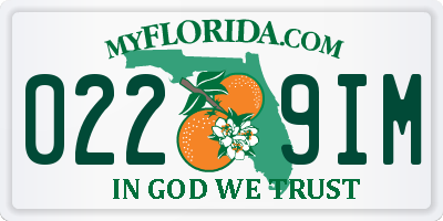 FL license plate 0229IM