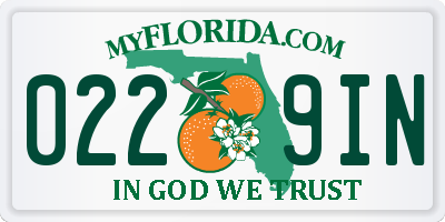 FL license plate 0229IN