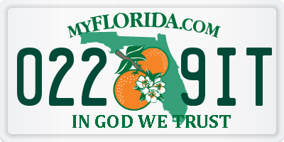 FL license plate 0229IT