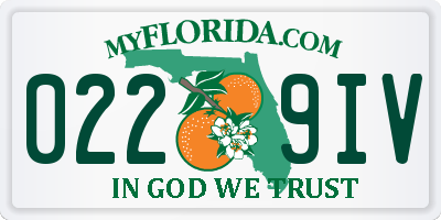 FL license plate 0229IV