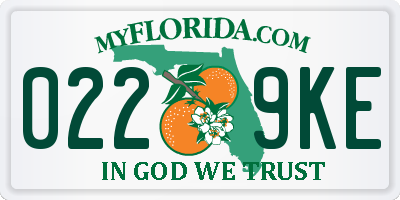 FL license plate 0229KE