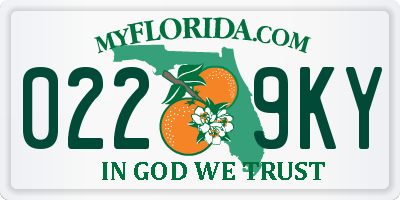 FL license plate 0229KY