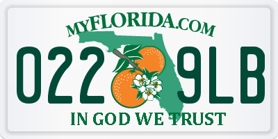FL license plate 0229LB